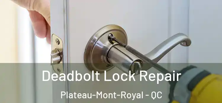  Deadbolt Lock Repair Plateau-Mont-Royal - QC