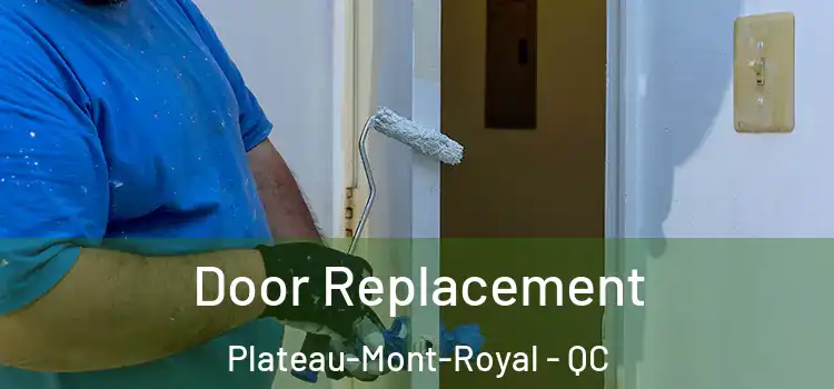  Door Replacement Plateau-Mont-Royal - QC