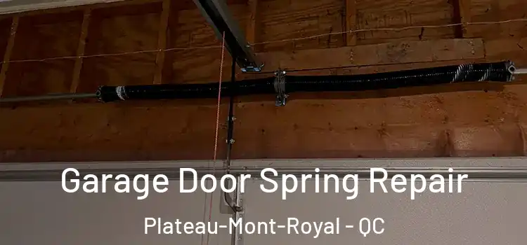  Garage Door Spring Repair Plateau-Mont-Royal - QC