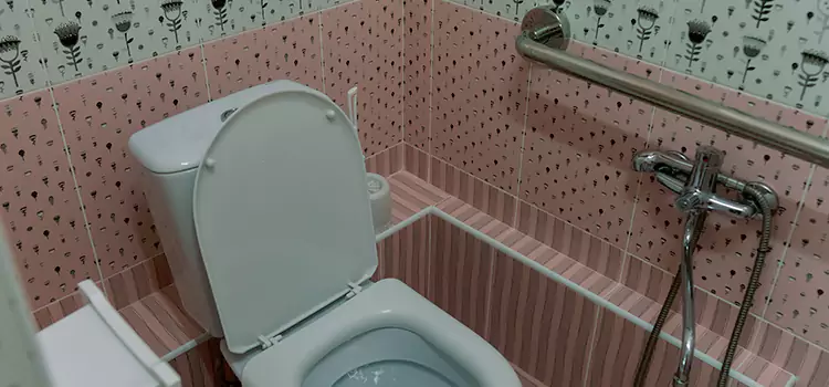 Meeting Diverse Needs With Accessible Restroom Solutions in Plateau-Mont-Royal, QC