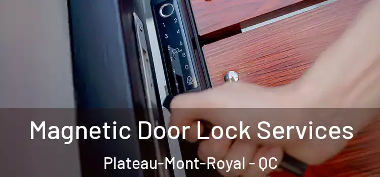  Magnetic Door Lock Services Plateau-Mont-Royal - QC