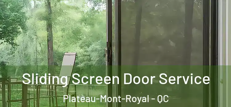  Sliding Screen Door Service Plateau-Mont-Royal - QC